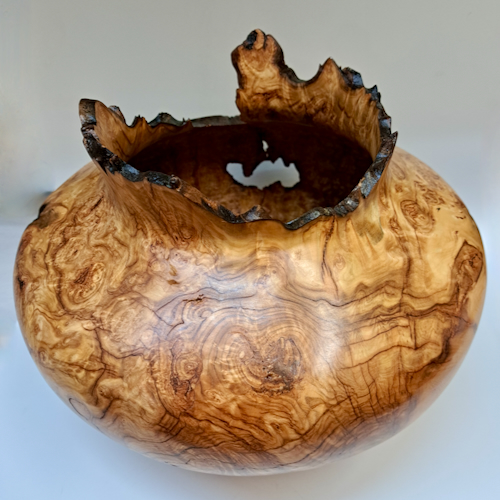 Click to view detail for JW-267 Colorado Aspen Burl Hollow Woodturning  $1450
